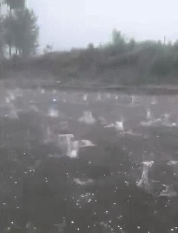 泗洪周边暴雨最新状况,泗洪大雨暴雨视频最新