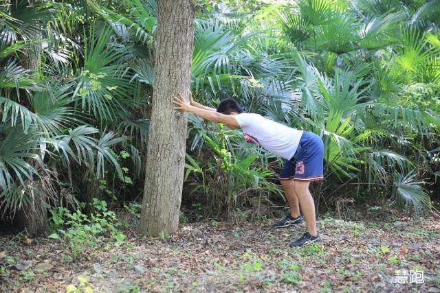 5公里跑后拉伸动作,跑后拉伸详细教程