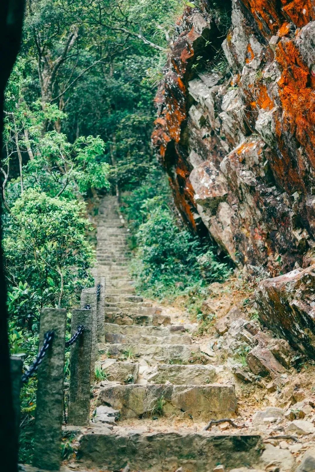 深圳值得去的地标,深圳值得去的景点排行榜