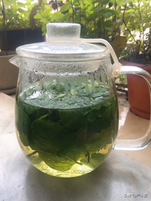 夏季清凉薄荷茶,夏天清凉解暑的饮品不要果茶