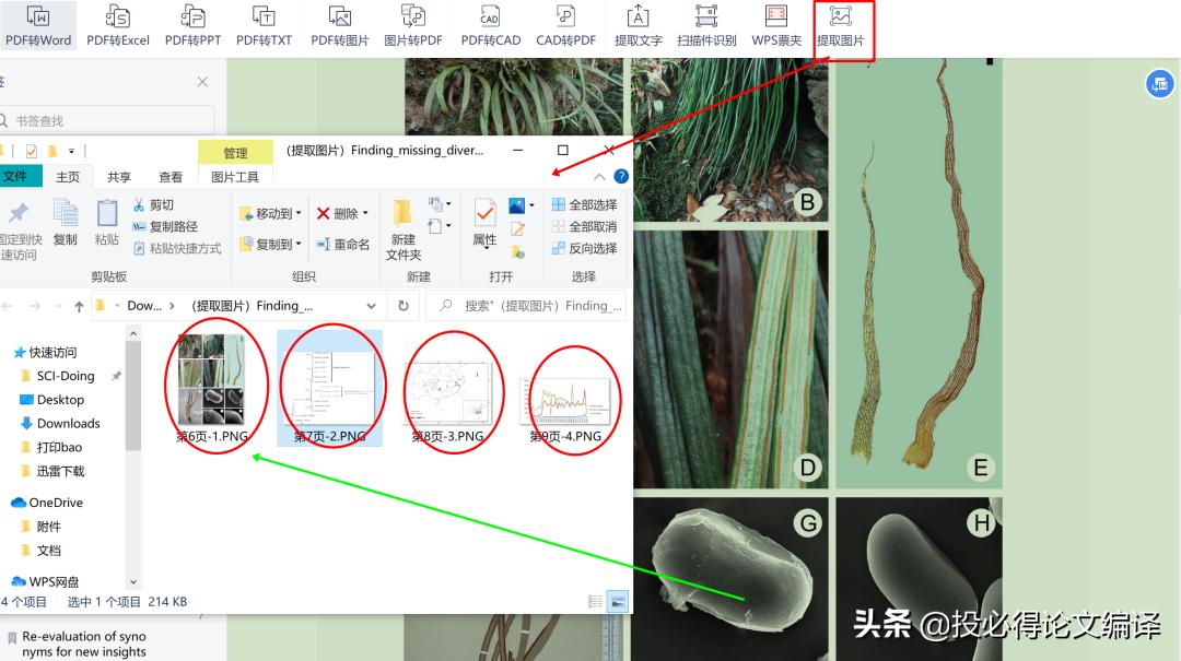 程序员都在用的pdf阅读器,最好用最干净的pdf阅读器
