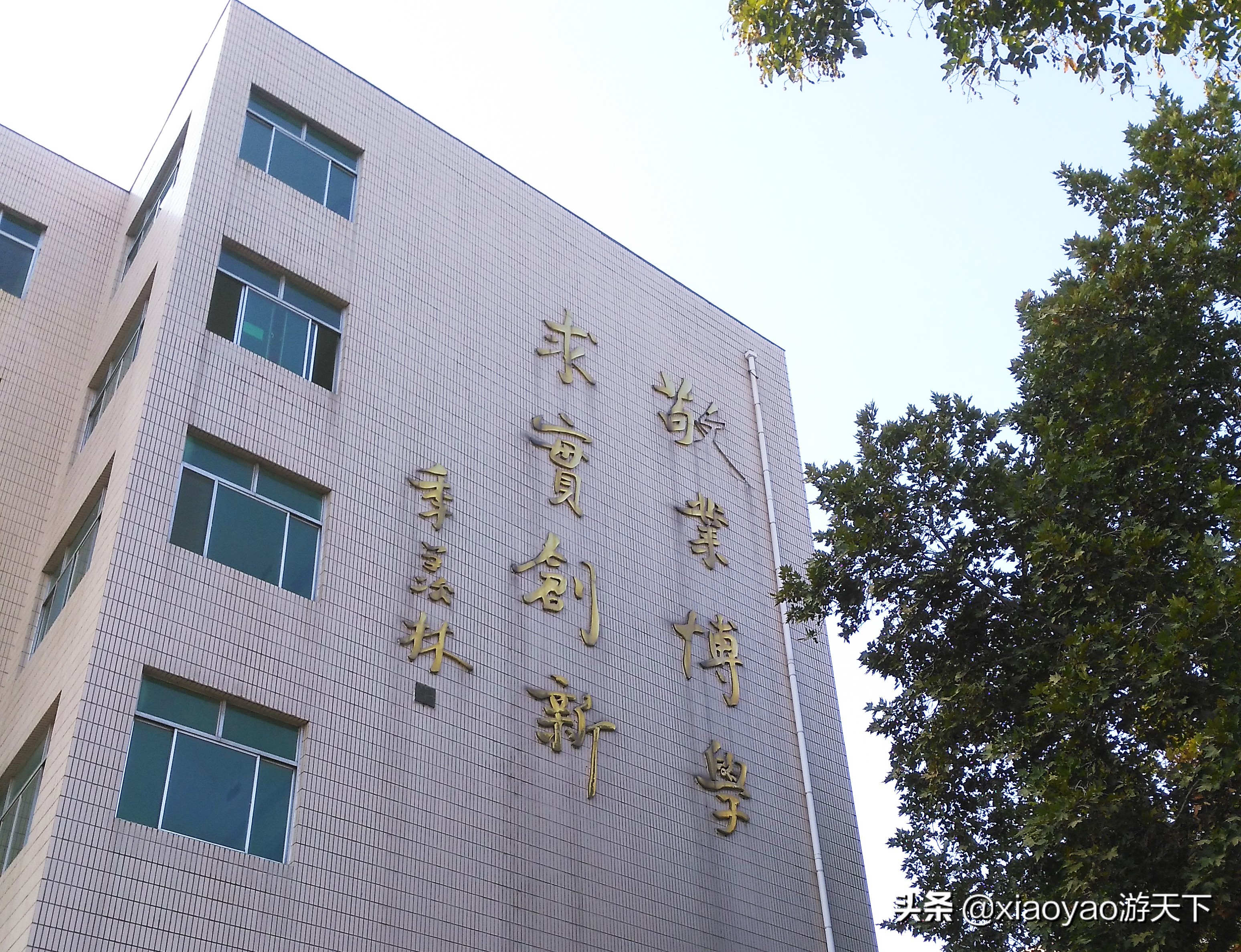 最美大学之旅——江北水城第一学府聊城大学