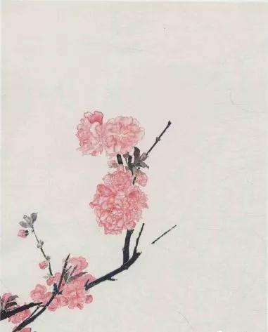 桃花的画法国画,小孩桃花画法国画