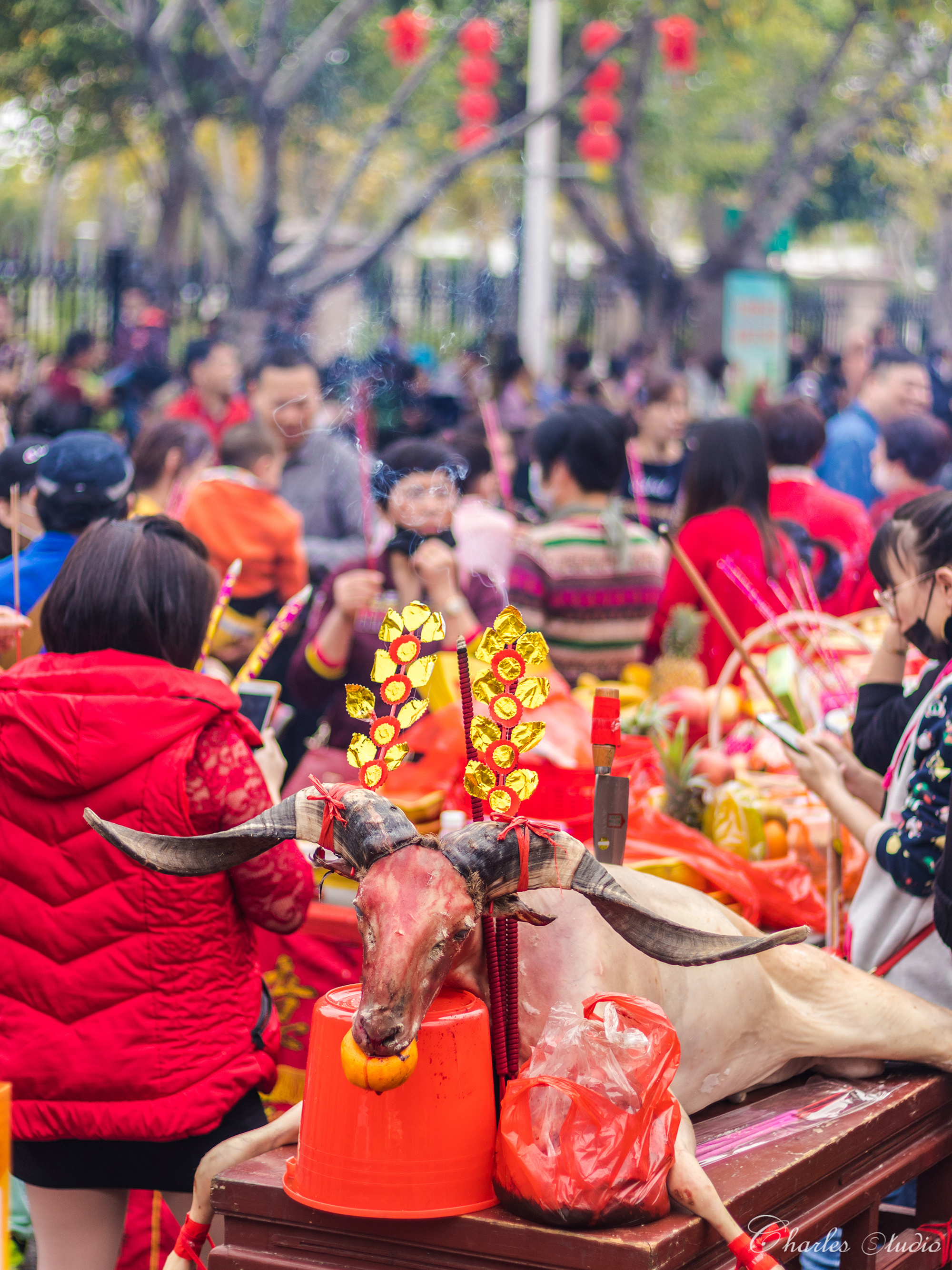 陈嘉庚故里集美大社,陈嘉庚回到家乡