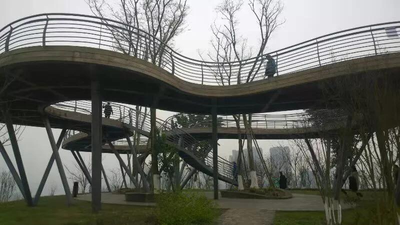 手拍世界完整版视频,手拍世界作品专集