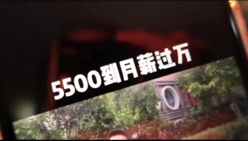 钱到底有多难挣？用我的亲身经历跟你们盘道盘道