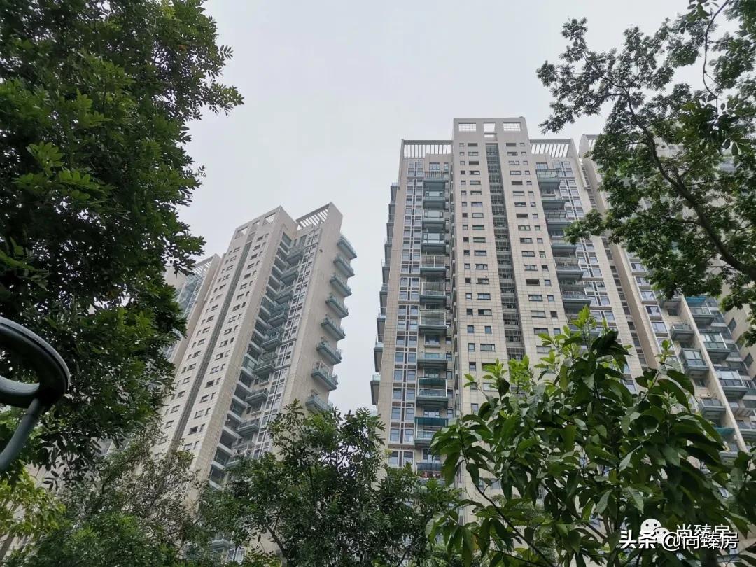 100多万人看过的房子,深圳湾三湘海尚别墅