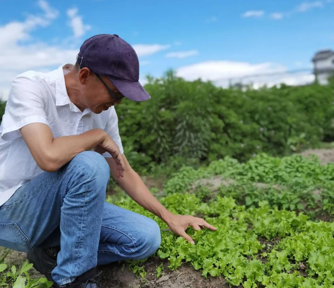 让农业真正回归照顾生命