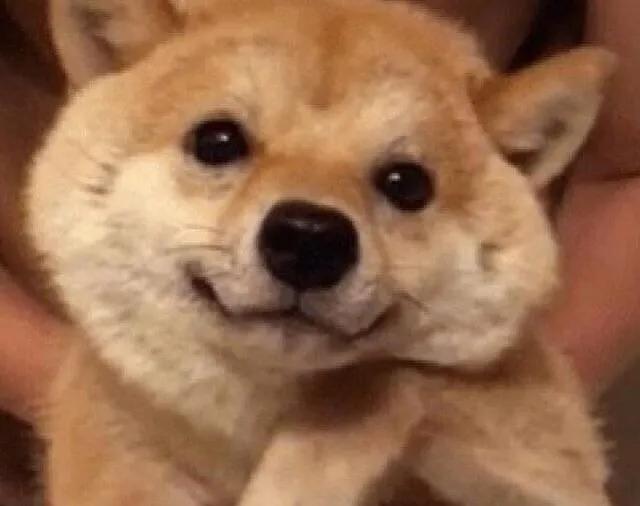 田朴珺万科王石完整版,王石妻子田朴珺