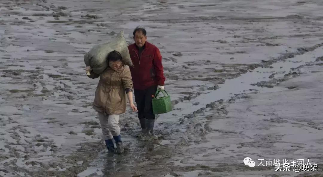 大连庄河赶海排名第一名,庄河赶海网红视频