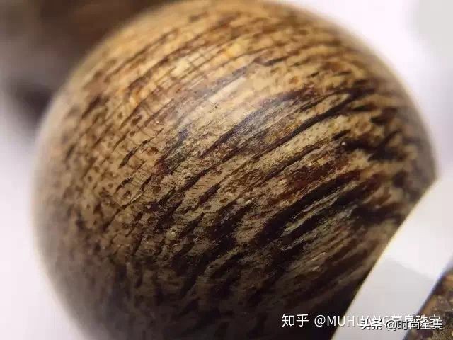 伍佰艺沉香最新消息,去哪里可以辨别沉香的真伪