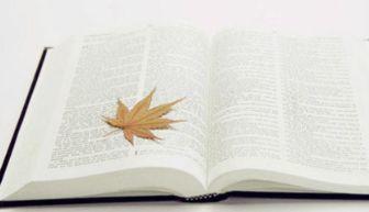 微商软文怎么吸引人,微商软文怎么说的扎心