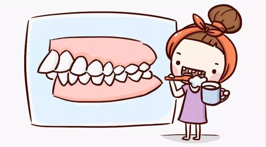 口腔科普磨牙 (口腔科科普之恒磨牙)