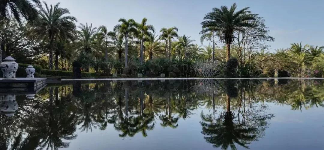 每周摄影作品展的第102期佳作欣赏,每周摄影作品展官网