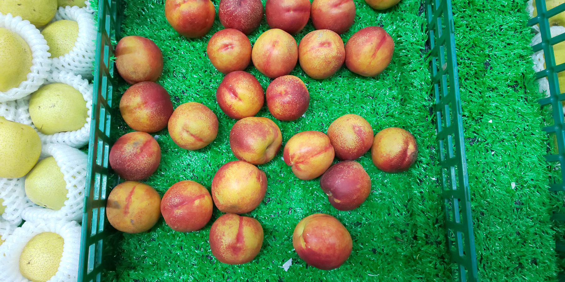 夏普R2：优秀的屏幕+大和民族审美设计