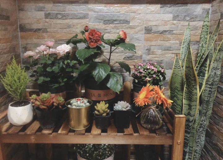 房子装修避坑攻略,装修了百套房总结了100个避坑经验