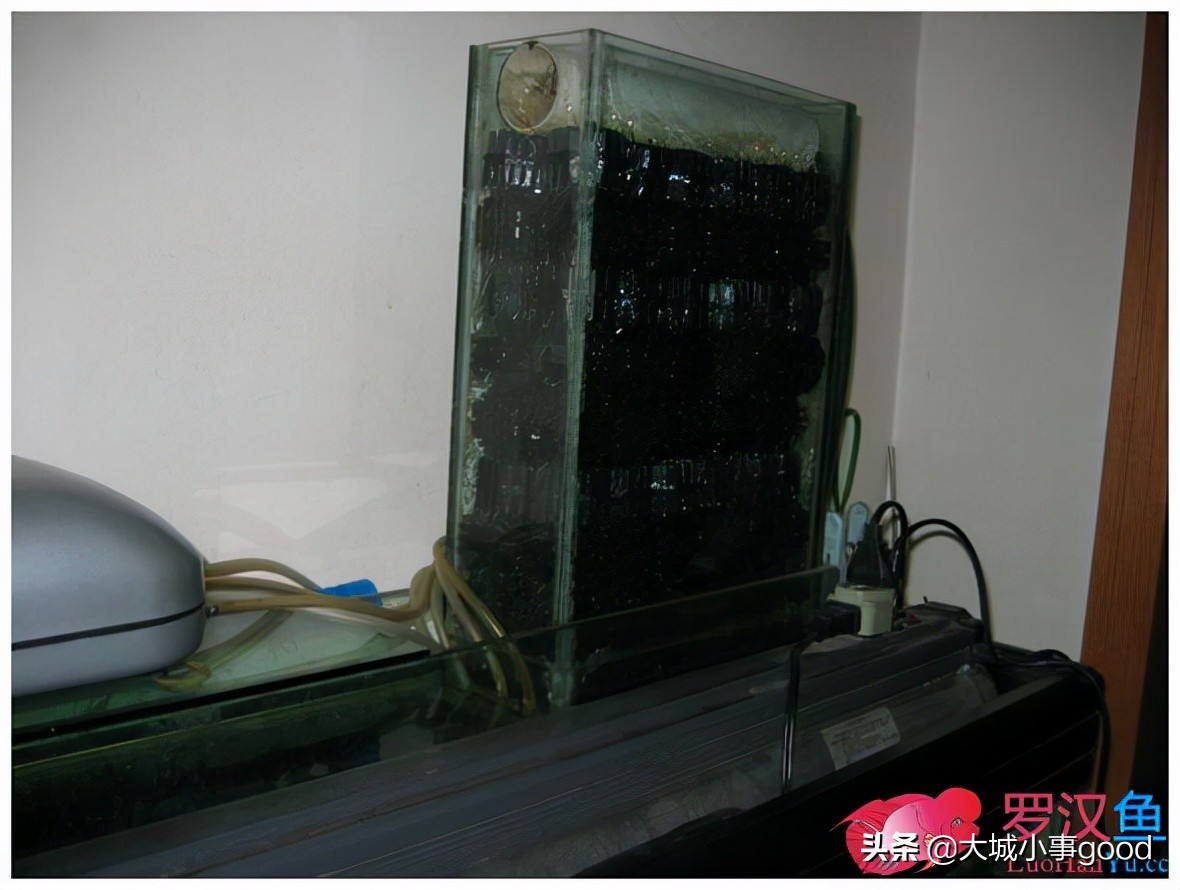 鱼缸过滤系统的基础解析,鱼缸过滤桶过滤原理