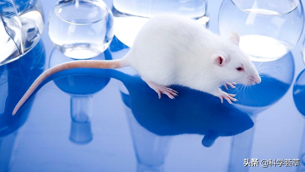 风力发电的对生态的危害,风力发电污染环境的危害