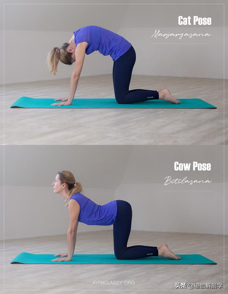 入门基础瑜伽每天必练8个动作,一套适合晨练的瑜伽序列越练越美