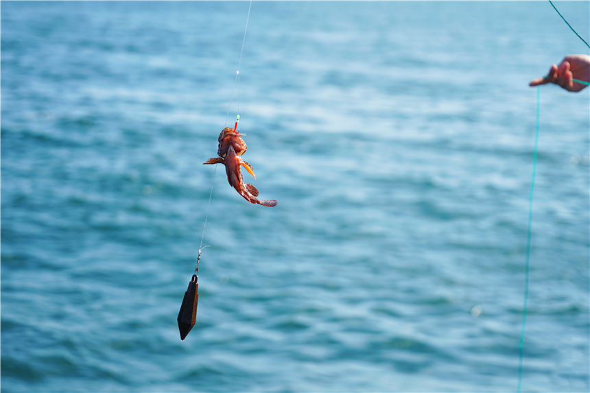 嵊泗列岛海岛推荐,嵊泗岛哪里海景最美