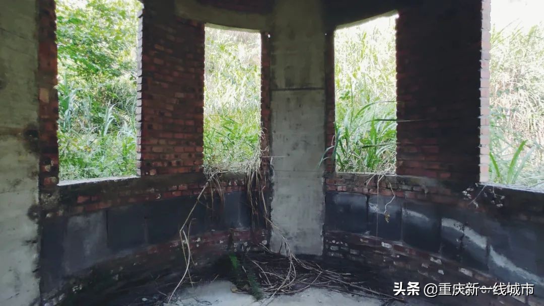 荒野求生之神秘洞穴,荒野求生神秘洞穴