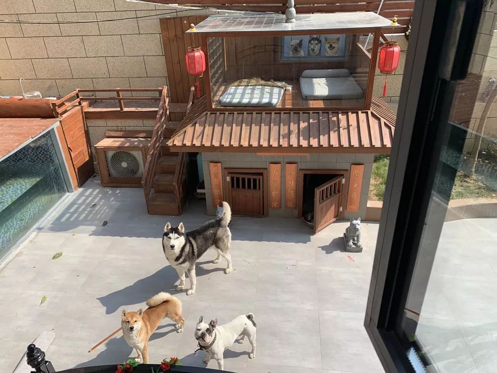 儿童房别墅装修带滑梯泳池秋千,城堡豪华别墅泳池