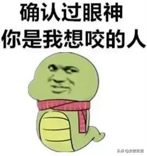 蛇在什么情况下才会主动攻击人,蛇会互相攻击吗