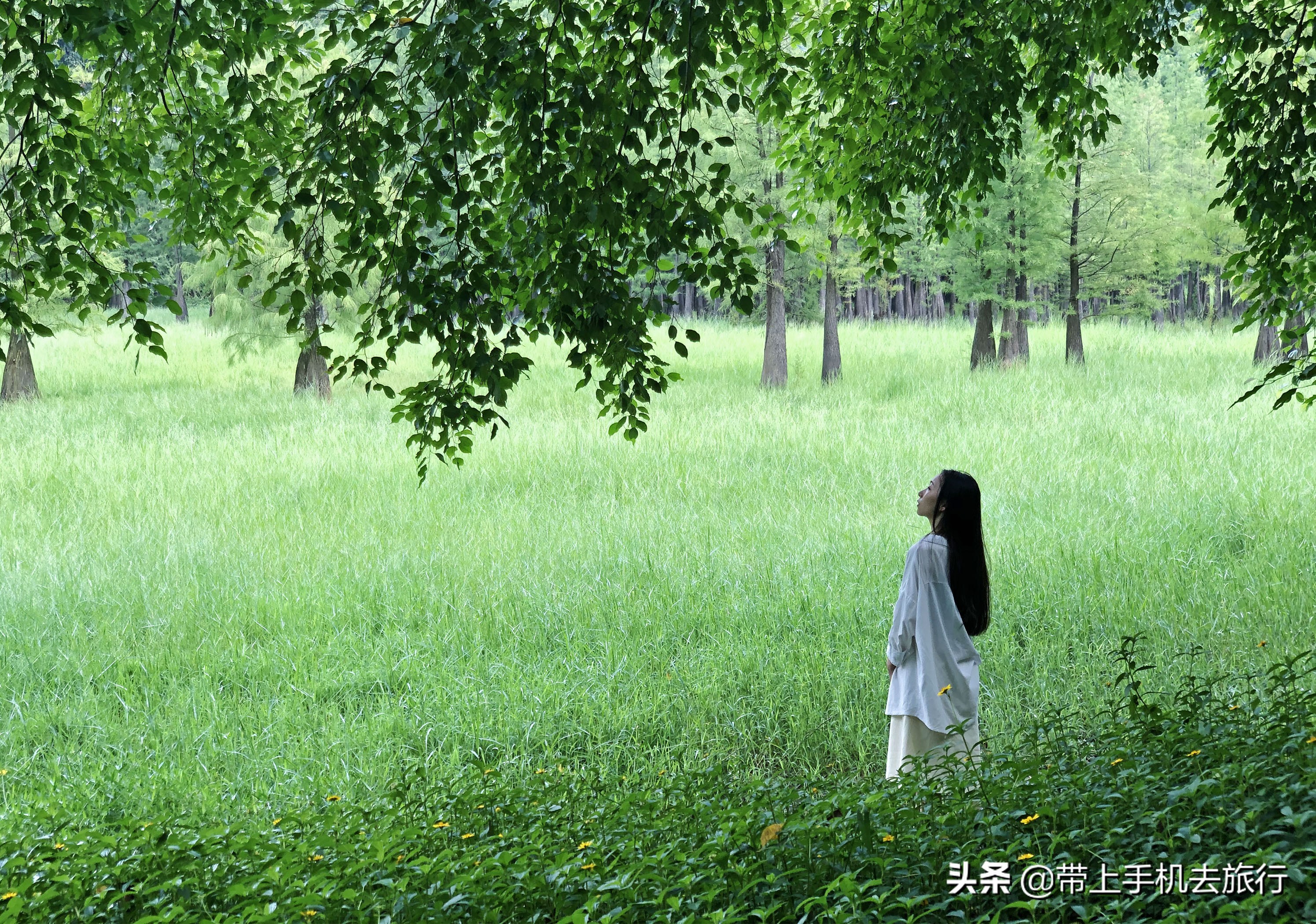 手机拍照是竖的好还是横的好,手机拍照横着和竖着的比例