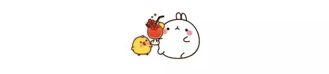 养猫指南免费阅读,养猫指南手册