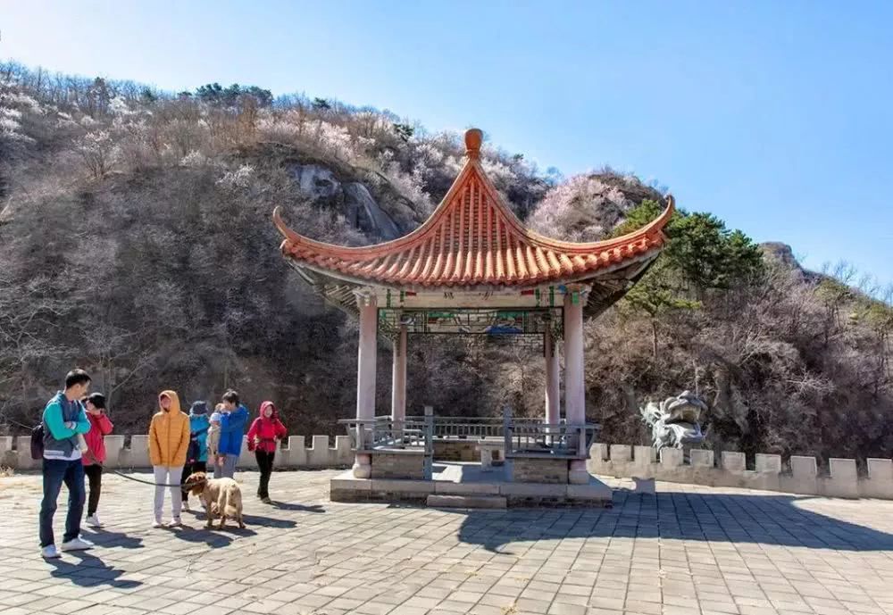 京郊四月美景,京郊四月