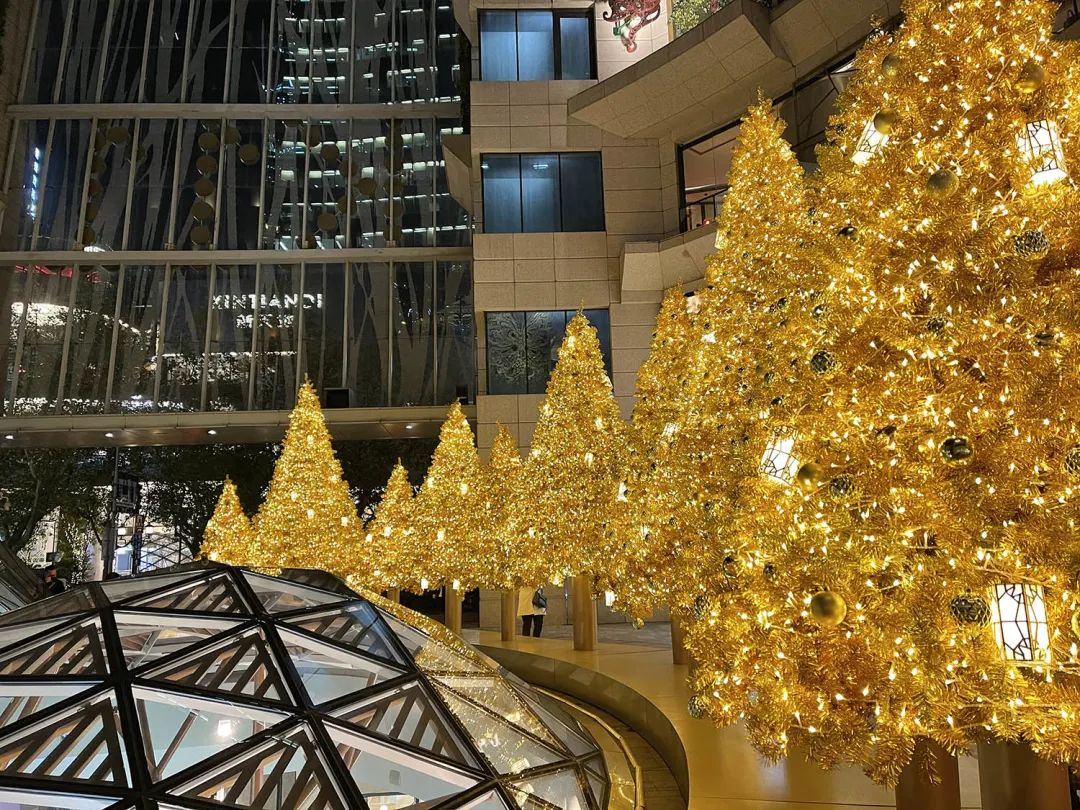 上海哪里圣诞树最好,上海千树圣诞树