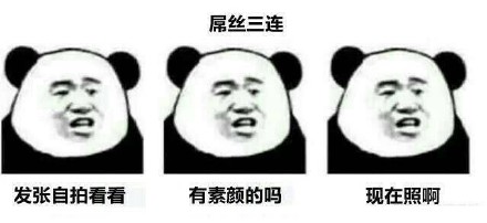 熊猫头抱着男的表情包,熊猫头手捧鲜花求婚表情包