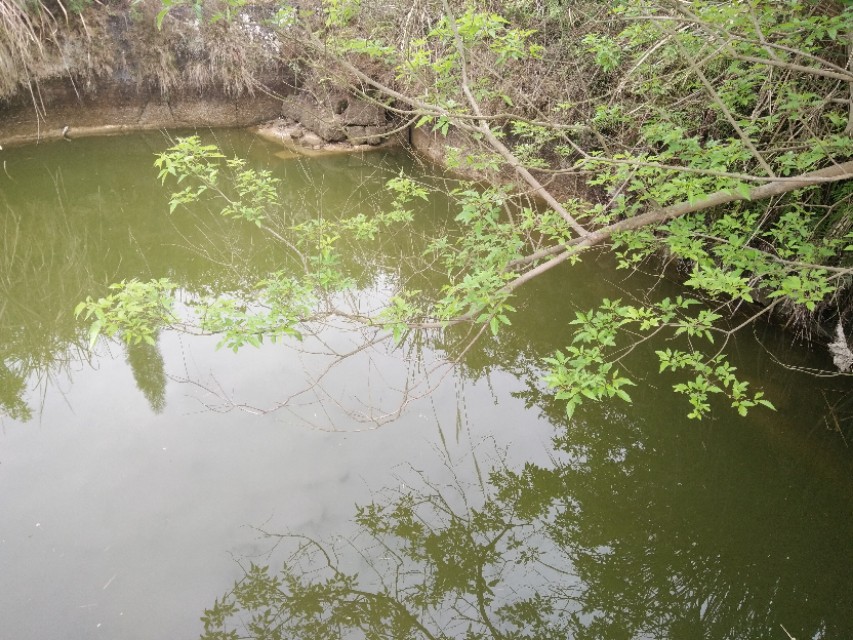 《天笙妙寨》文l胡立夫.愚夫主义原创