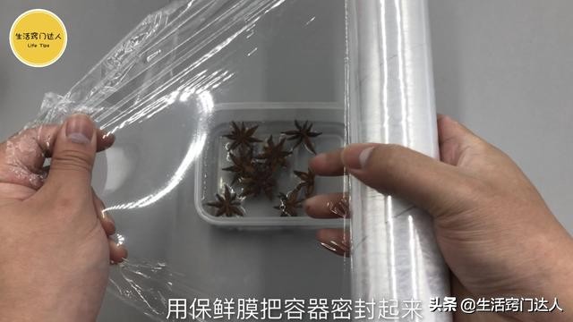 白醋与八角泡在一起对人体有害吗,八角和白醋放在一起有什么功效