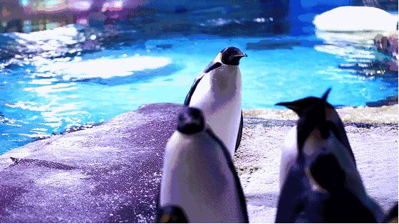 武汉市人的福利,武汉市发放105万张文旅惠民券