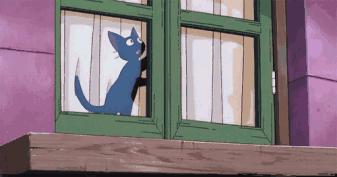 今天适合开窗通风吗,开窗通风真的好吗