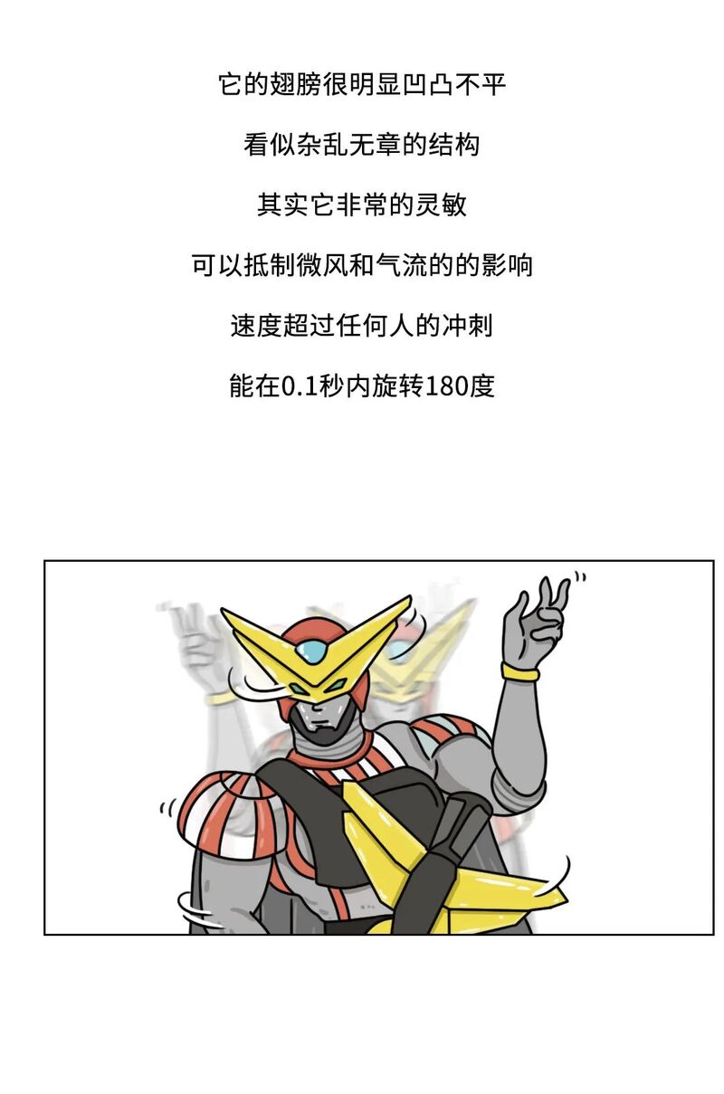 当你踩到蟑螂,蟑螂喷出来的透明液体是什么来的