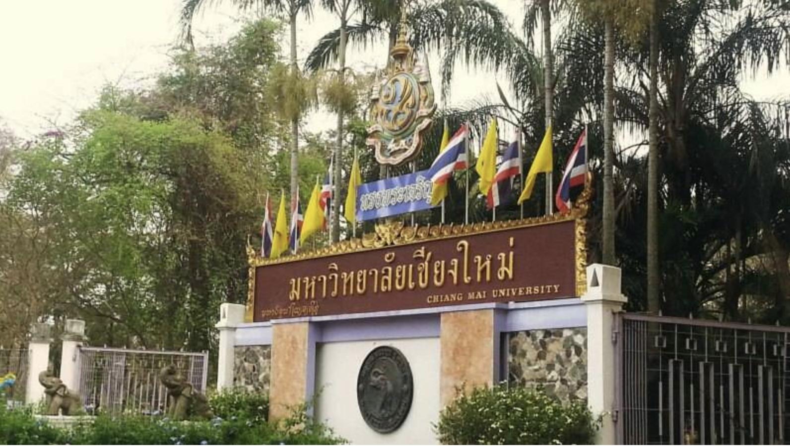 泰国清迈桂圆干,清迈的龙眼干