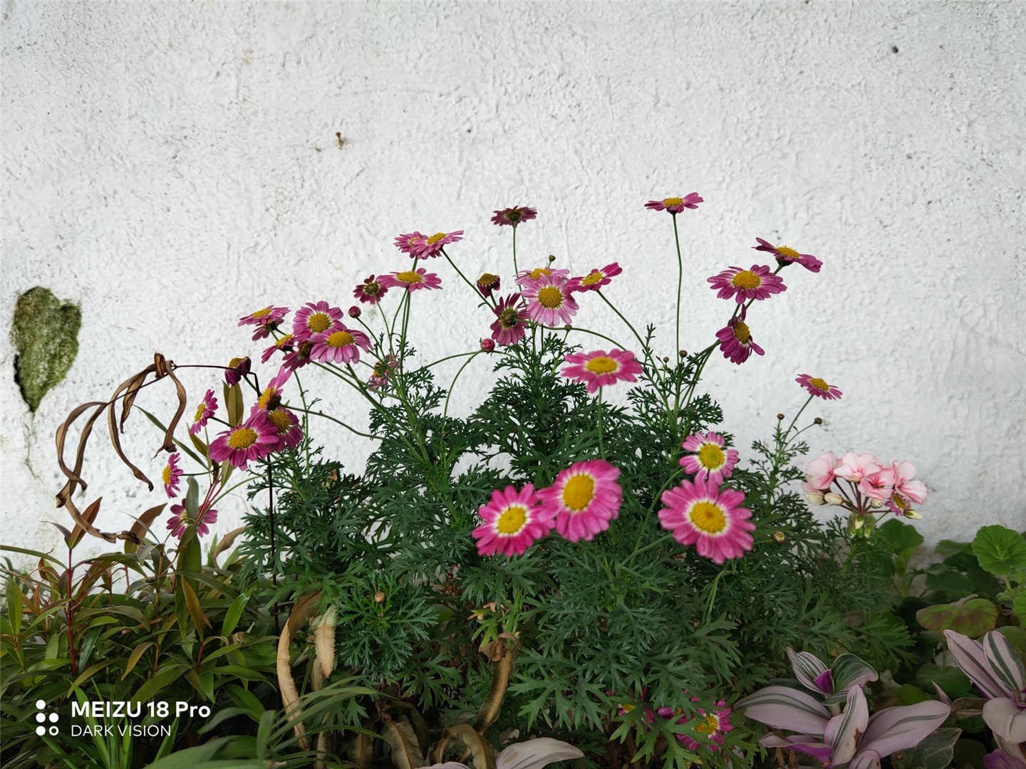 魅族18和魅族18pro买哪个好,魅族18s18pro与18x区别