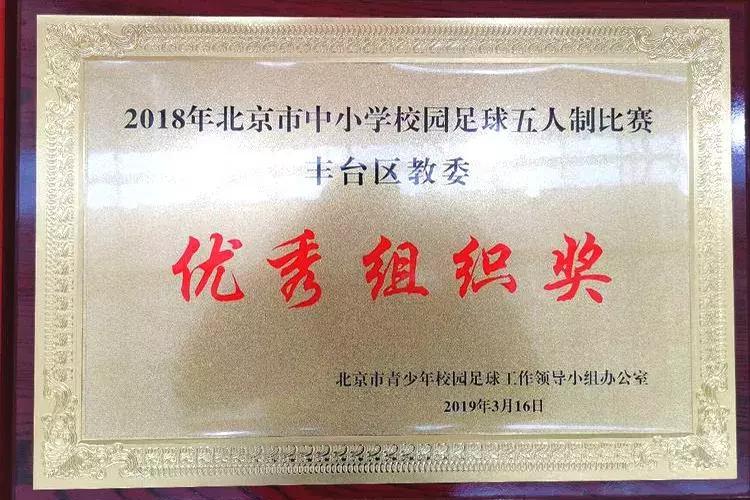 北京市丰台区中小学足球联赛,2018年中小学生丰台区足球联赛