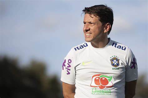 巴西世界杯大罗卡卡,02年世界杯巴西小罗