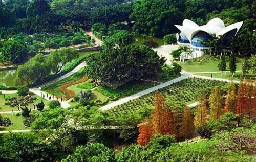 深圳花海景区推荐图片大全,深圳哪里有大片花海