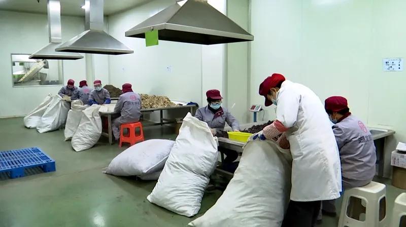 湖北聚瑞生物科技在哪,湖北聚瑞制药