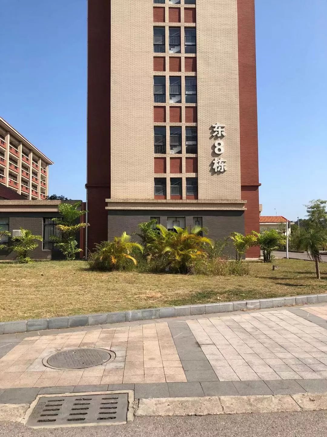 广西钦州特色美食有哪些,钦州有哪些好吃的美食