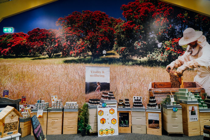 新西兰｜在首屈一指的滑雪胜地，与黑天鹅一起戏水