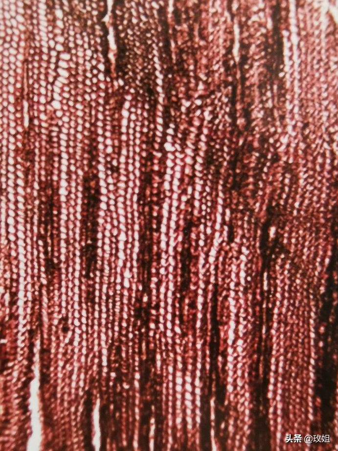 阴沉木和乌木是同一种木吗,阴沉木是什么木