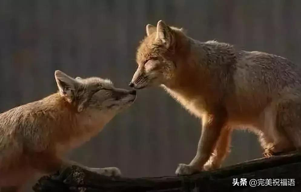 今天2.1，2月第1天，谁编的，太好笑了，给群里乐一乐~