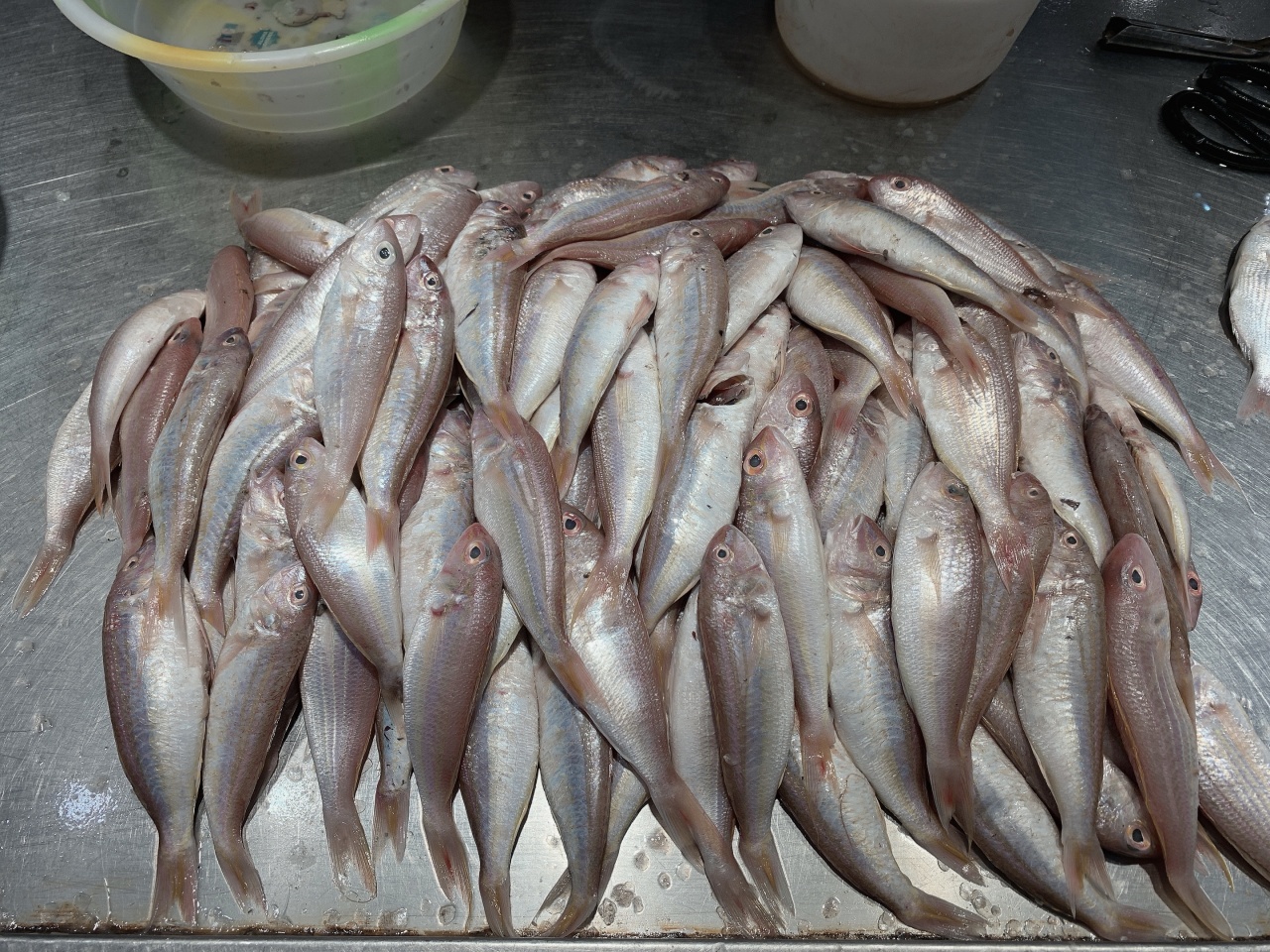 去北海在哪里买海鲜比较划算,北海的海鲜便宜还是防城港的便宜