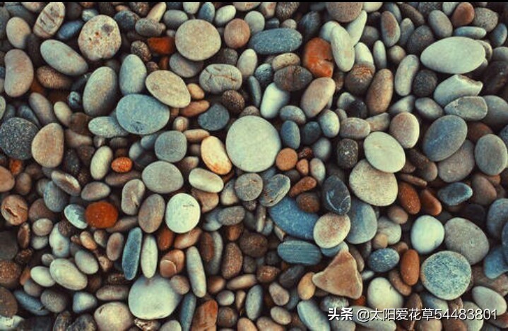 养花在花盆底下垫什么东西最好,养花盆用什么垫底好