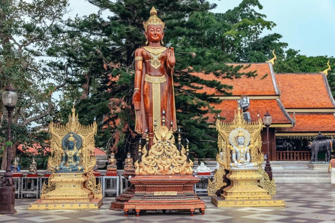 在清迈逛夜市感受泰国人慢生活,去清迈享受放下脚步的慢生活